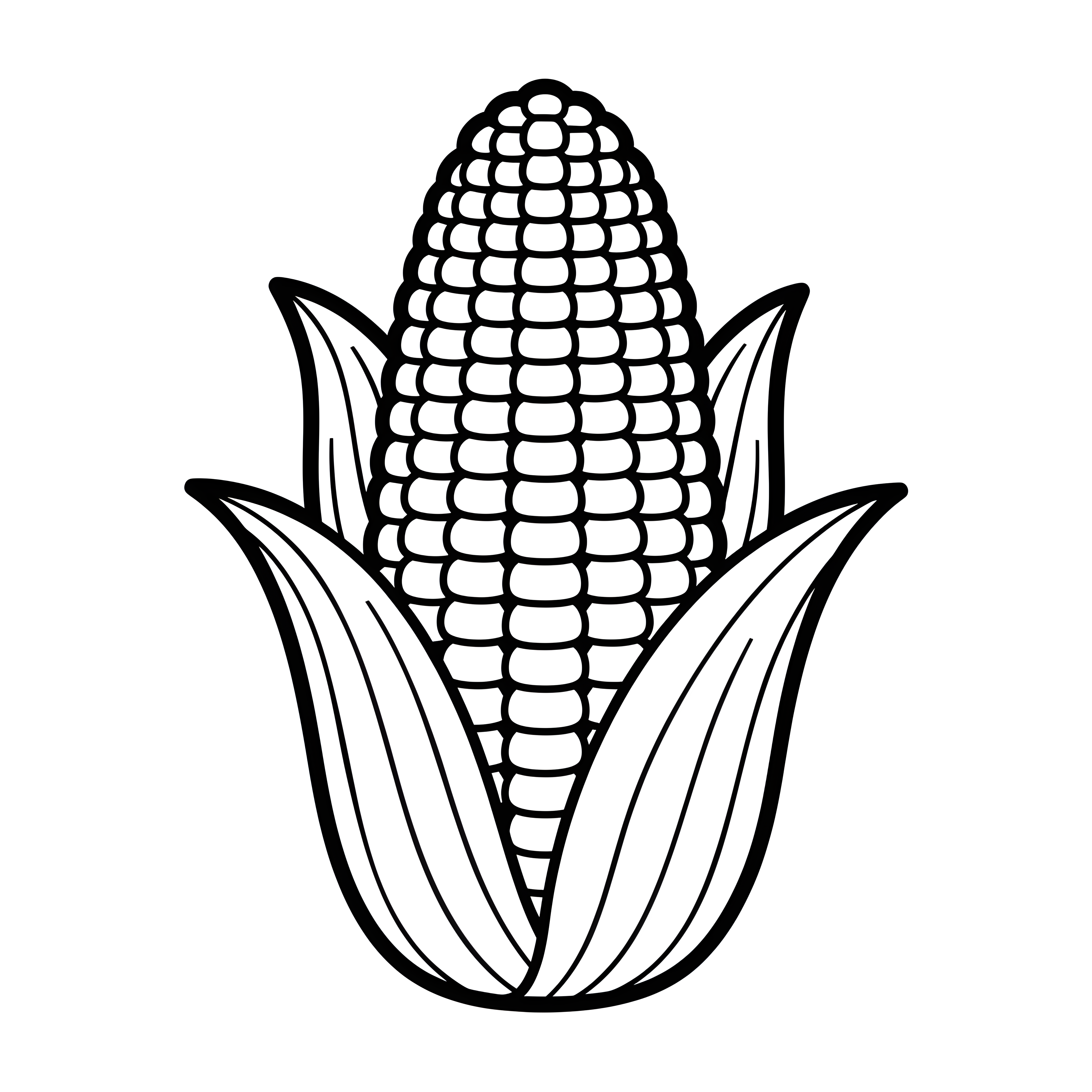 Maiskolben mit Blättern zum Ausmalen