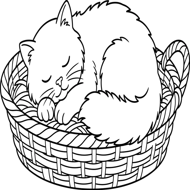 Katze im Korb Ausmalbild – Schlafende Katze im Körbchen