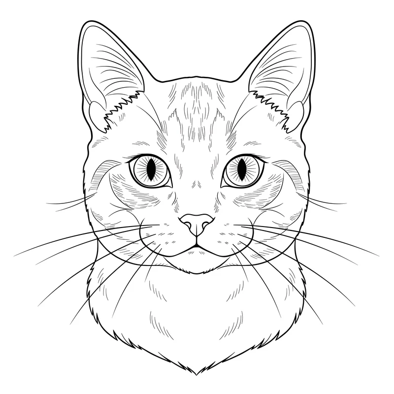 Realistische Katze im Portrait-Stil – Detailliertes Motiv zum Ausmalen