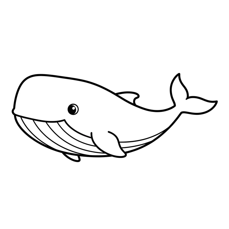 Blauwal schwimmt friedlich durchs Meer zum Ausmalen