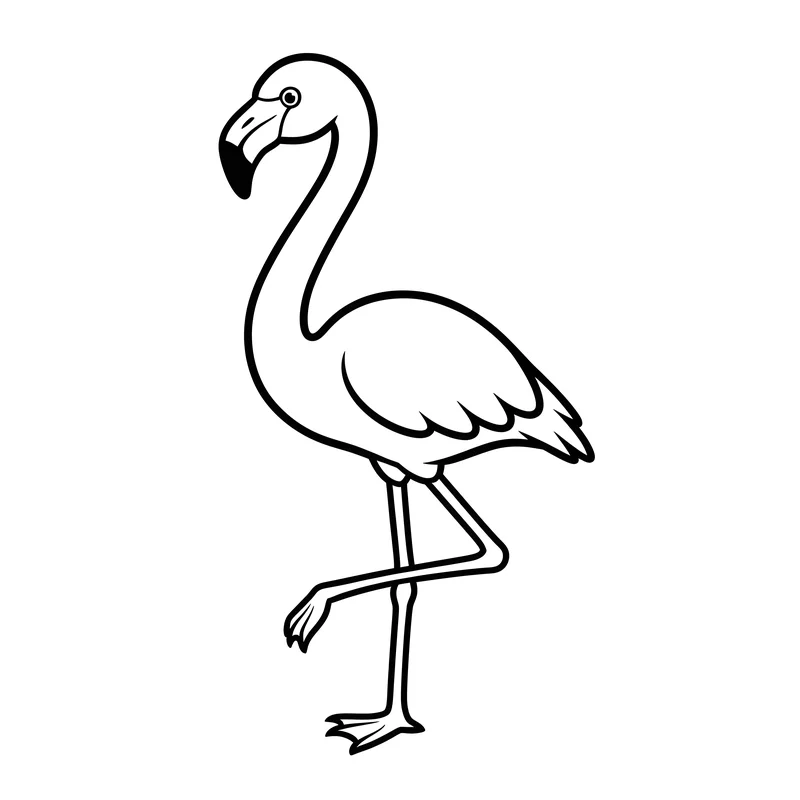 Flamingo im Zoo Ausmalbild für Kinder 3-5 Jahre